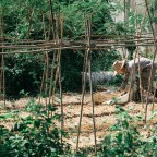 Let’s green the future!