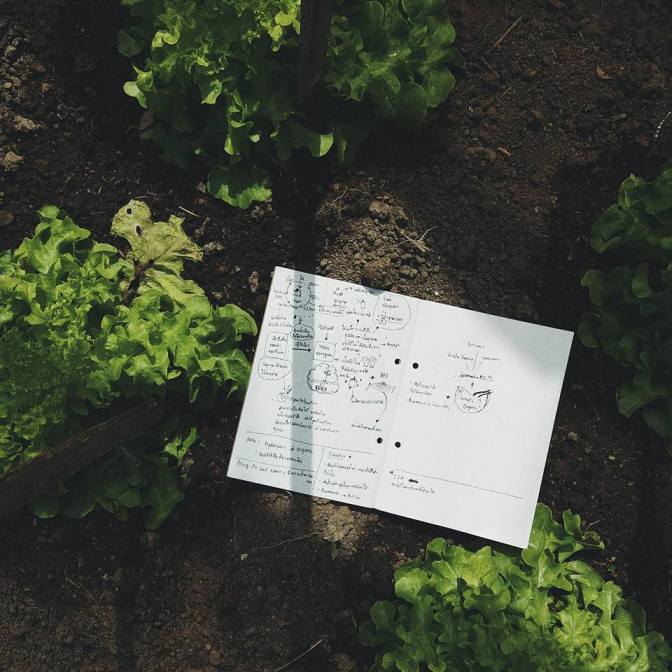 15032192_1161821387187286_1357595030678343446_n