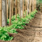 Let’s meet our farmers!…[ episode 1 ]