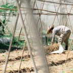 Let’s Train the Next Generation of Farmers!